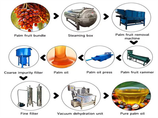 machine d'extraction d'huile de coco au cameroun