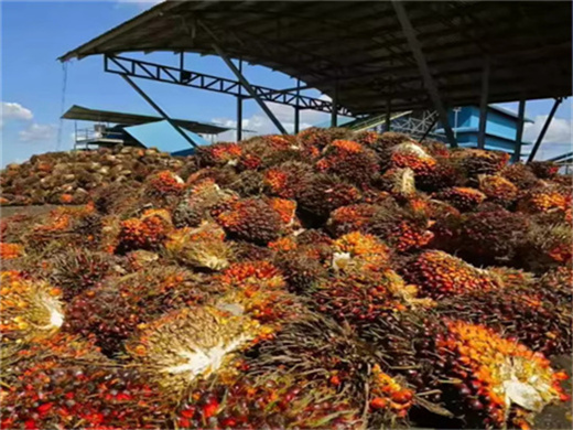 ligne de production de raffinage d'huile de palme d'occasion fiable