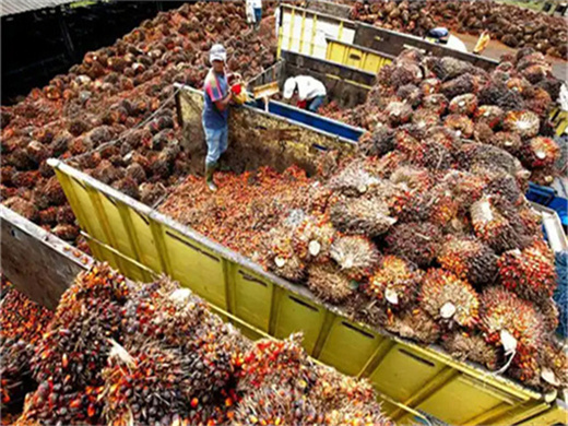 machines pour l'extraction d'huile d'arachide en Côte d'Ivoire