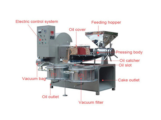 Extracteur automatique d'huile d'arachide de 1500 kg/h au Cameroun