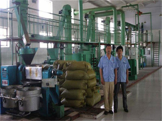 usine de traitement d'huile de palme de type électrique à chaud