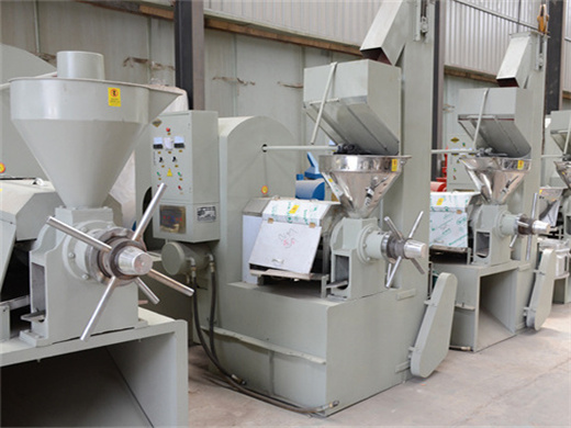 Usine de transformation d'huile de palme de petite capacité au Gabon